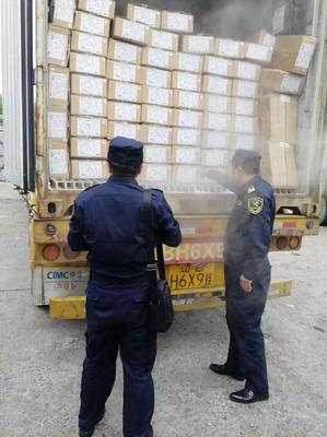 中國(guó)對(duì)俄出口冷凍雞胸肉經(jīng)綏芬河口岸首發(fā)，區(qū)域經(jīng)貿(mào)合作邁上新臺(tái)階