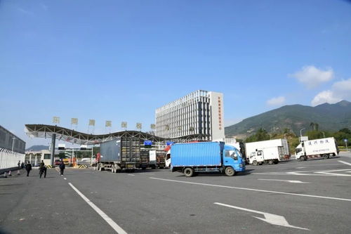 累計(jì)進(jìn)出區(qū)貨值超1884億元 清溪保稅物流中心迎來(lái)封關(guān)運(yùn)行四周年，技術(shù)進(jìn)出口成亮點(diǎn)